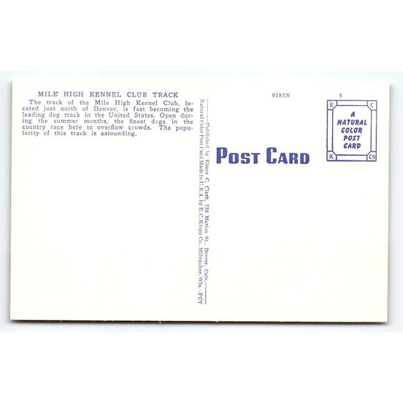 Vintage Linen Mile High Kennel Club Track Denver Postcard 1930s - Picture 2 of 2